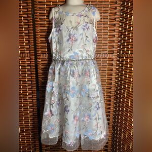 Rare Editions Girls Size 10 Floral Embroidered Tulle Dress Pink Blue